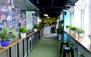 Khám phá: Ngôi nhà chung độc, lạ nhất Hà Thành